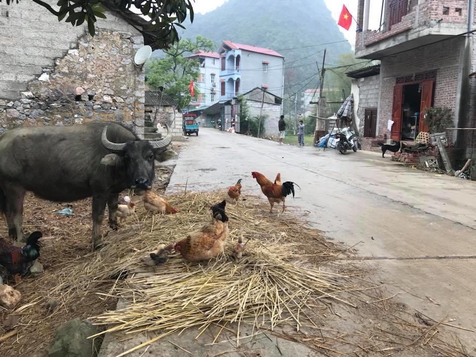 Yến Nhi Bản Giốc Homestay - Nhà sàn đá cổ Cao Bang Exterior foto