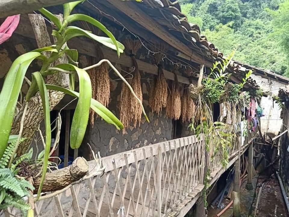 Yến Nhi Bản Giốc Homestay - Nhà sàn đá cổ Cao Bang Exterior foto